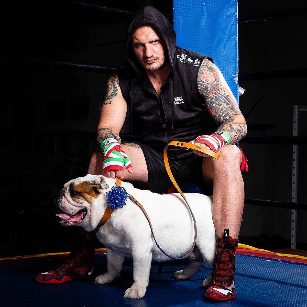 Cobalt Anemone Dog Collar