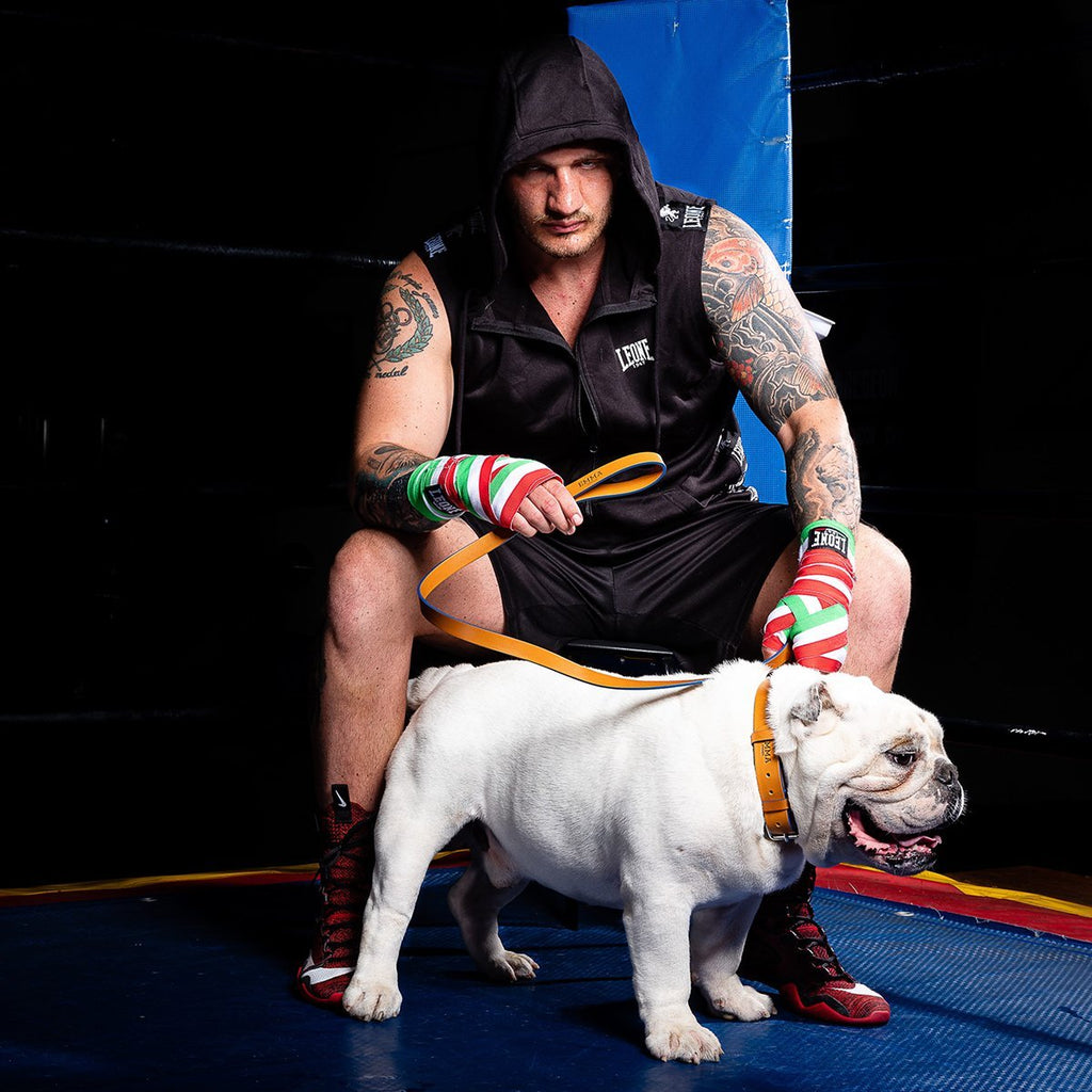 Cobalt Anemone Dog Collar