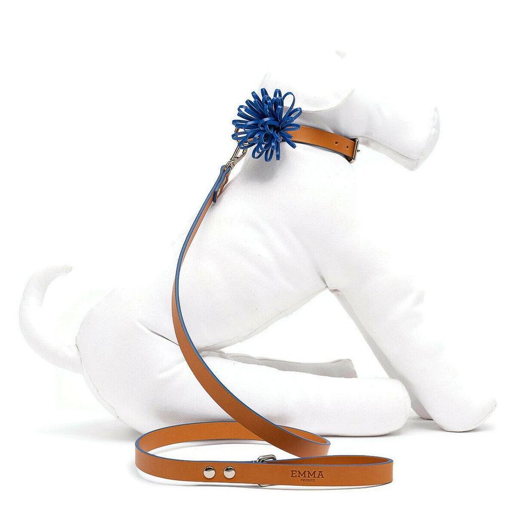 Cobalt Dog Leash