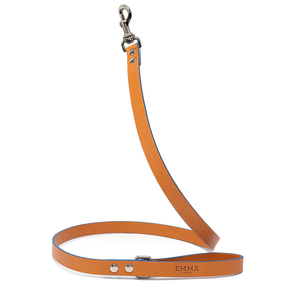 Cobalt Dog Leash