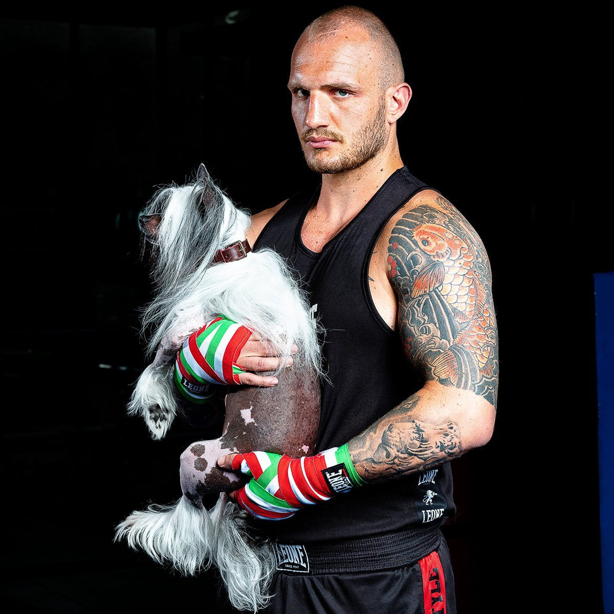 Coral Anemone Dog Collar