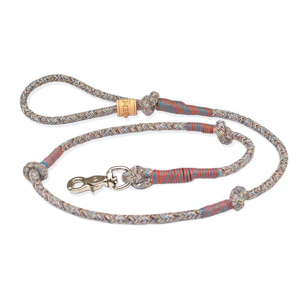 Gentleman Multicolor Dog Leash