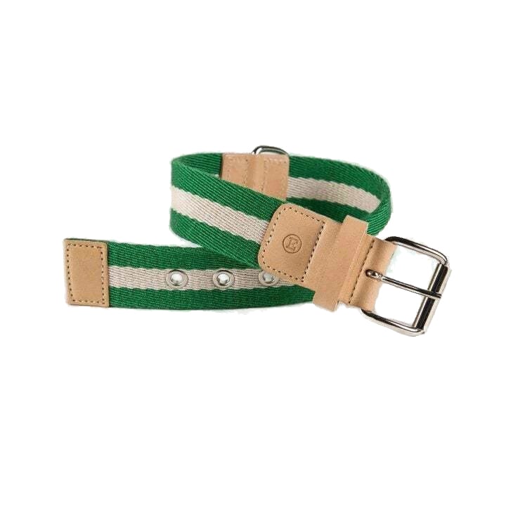 Green And Cream Tape Medium Dog Collar