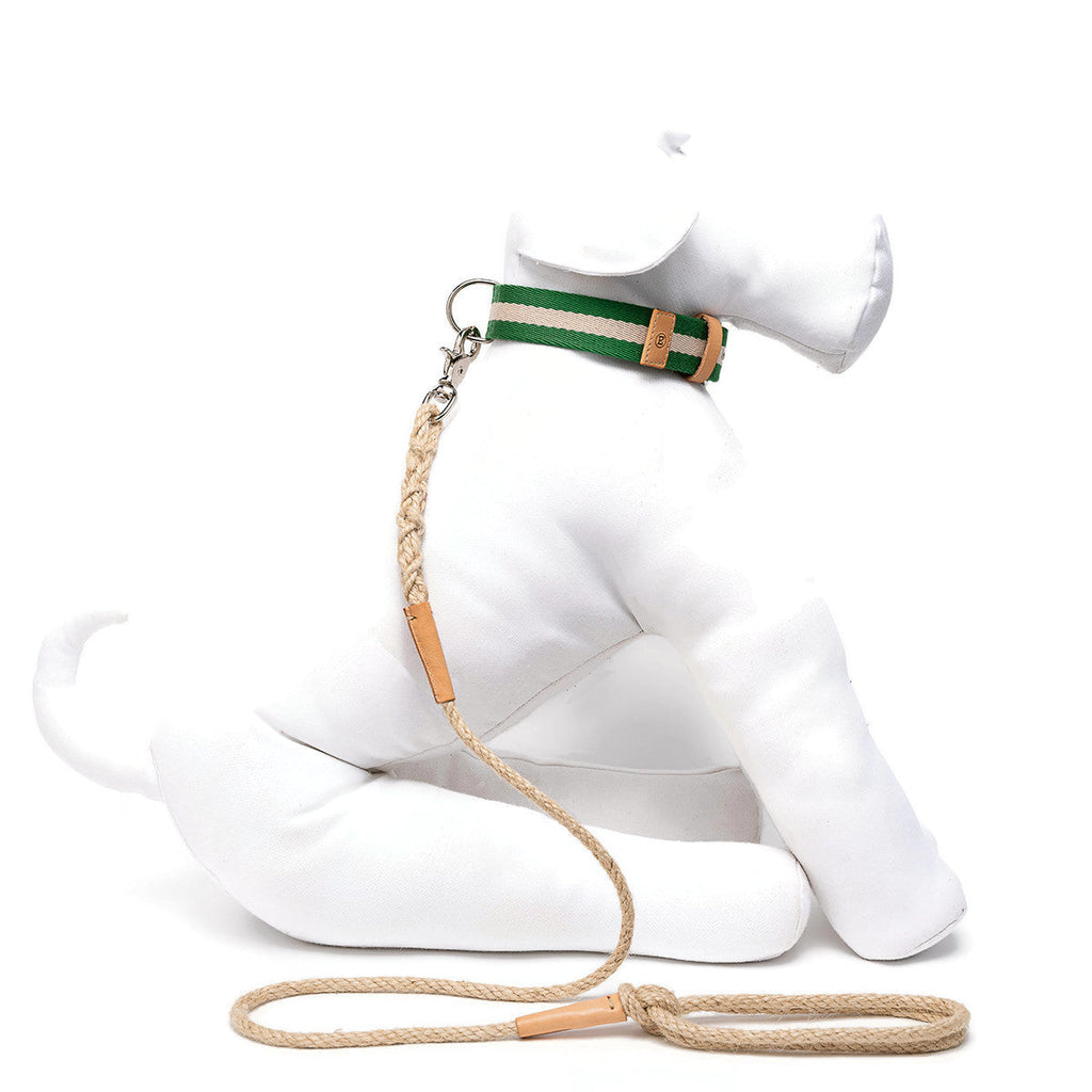 Green And Cream Tape Medium Dog Collar