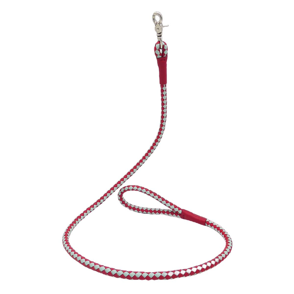 Loop Dog Leash