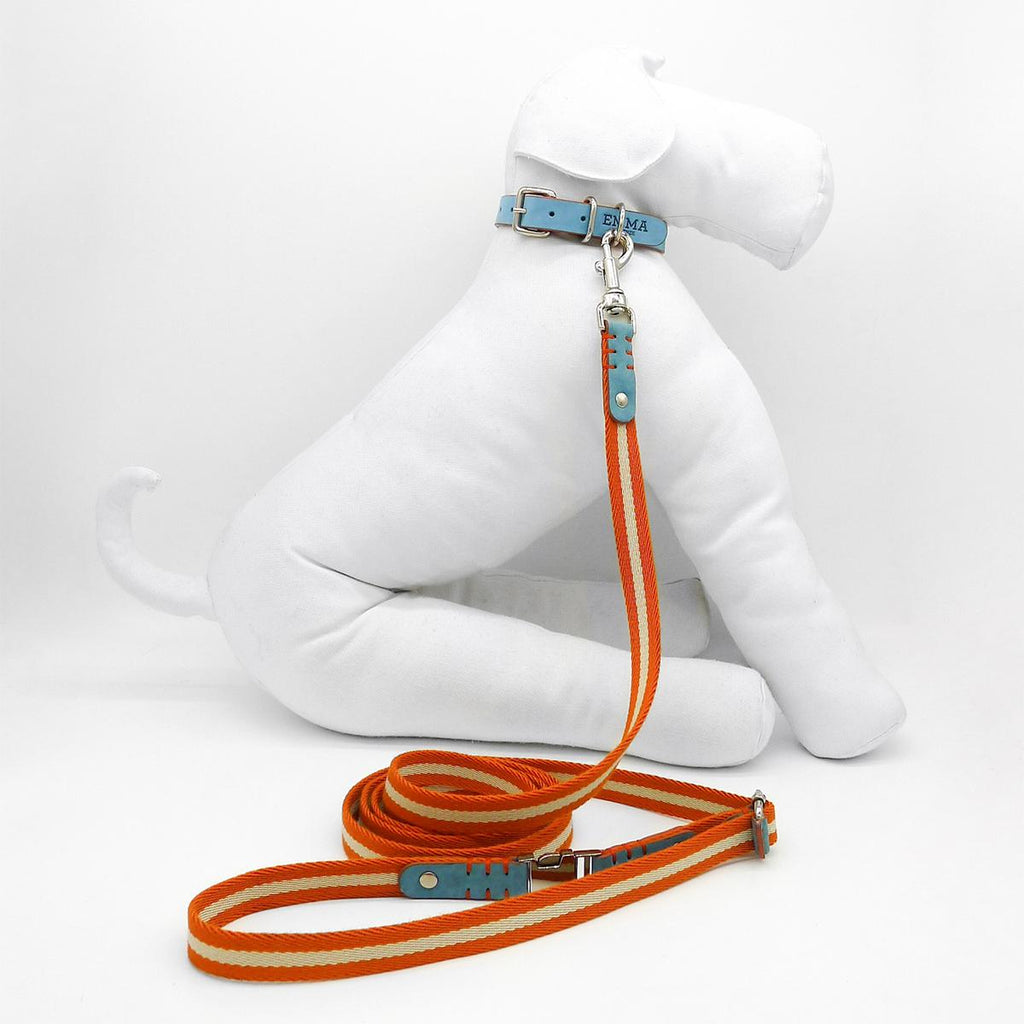 Multi Nubuck Celestial Dog Leash
