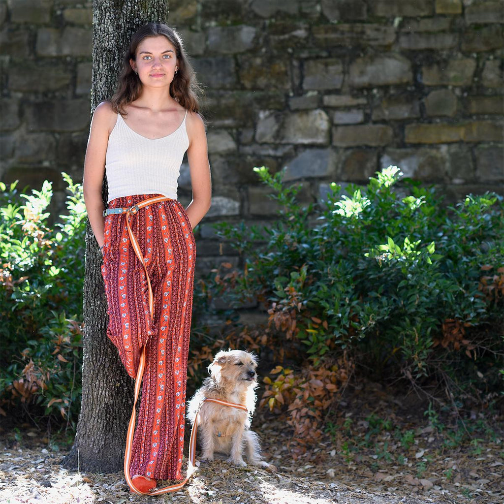 Multi Nubuck Celestial Dog Leash