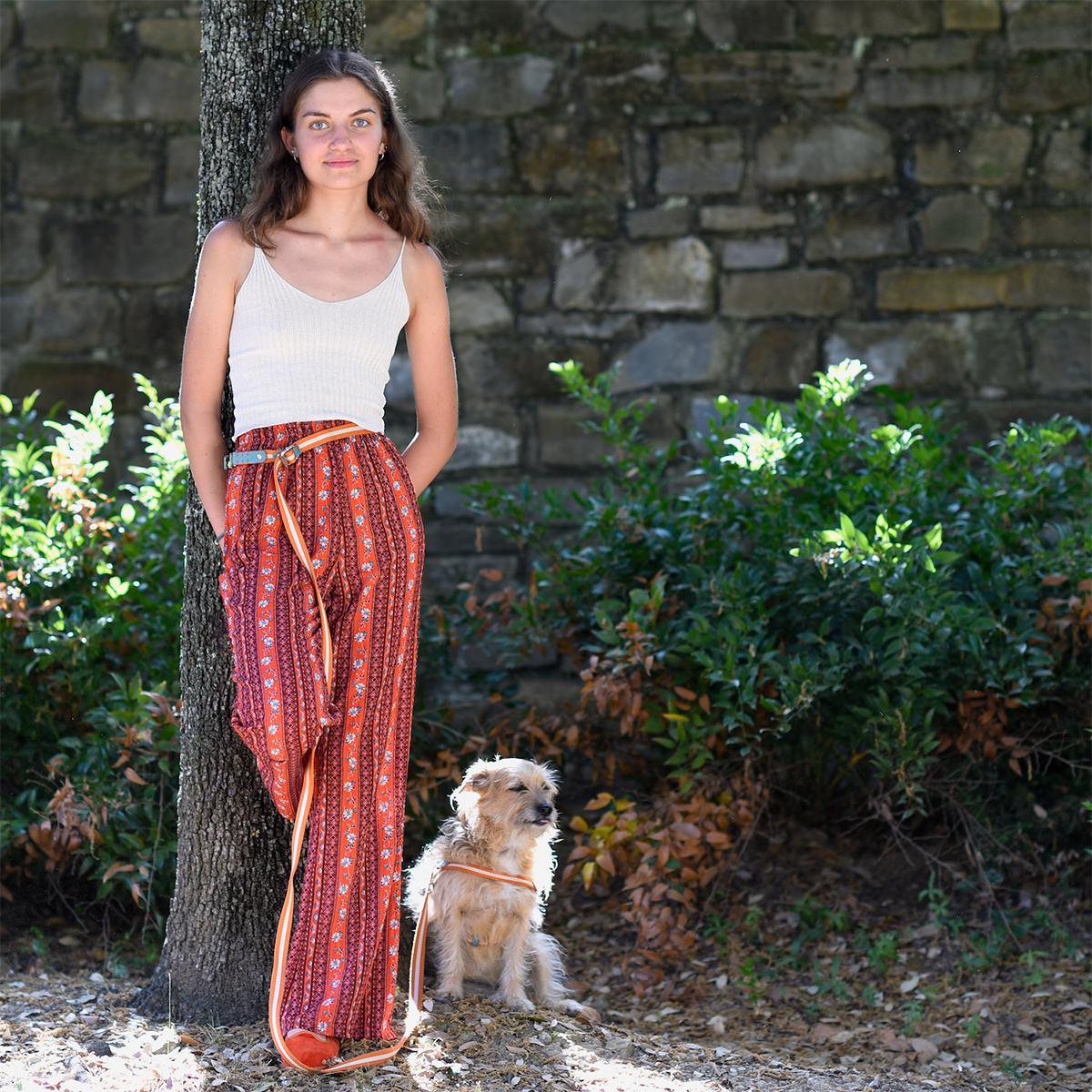 Multi Nubuck Celestial Dog Leash