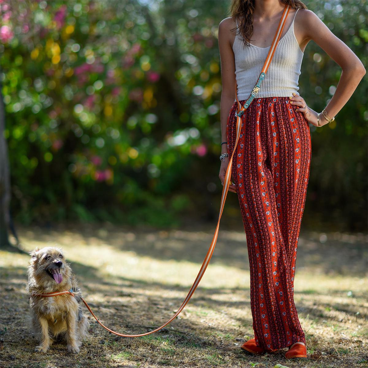 Multi Nubuck Celestial Dog Leash