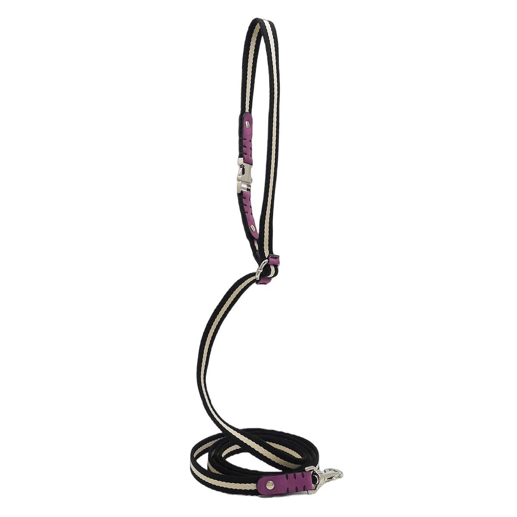 Multi Nubuck Fuchsia Dog Leash