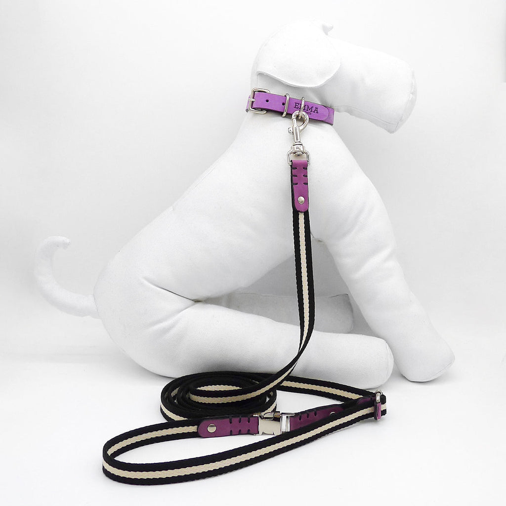 Multi Nubuck Fuchsia Dog Leash