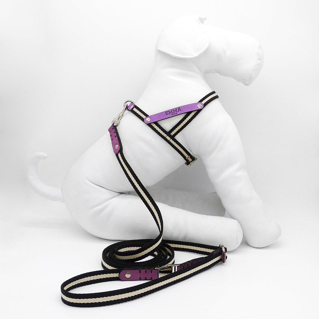 Multi Nubuck Fuchsia Dog Leash