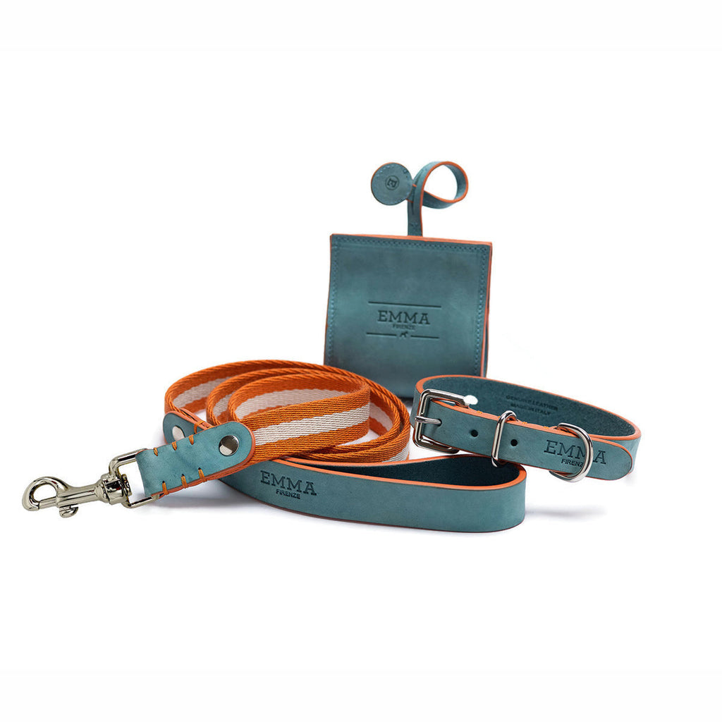 Nubuck Celestial Dog Collar